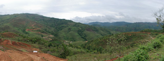 Paysage du Xishuangbanna