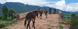 Pont à Shaxi sur la route du thé et des chevaux